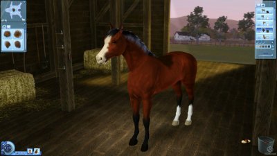 ���� 3 21 � 1