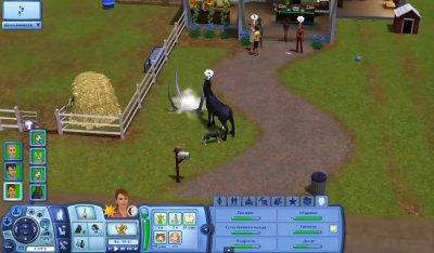 ���� 3 ��������