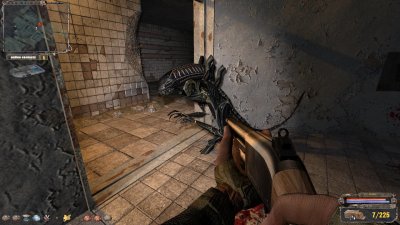 ������� ������� ������ 2