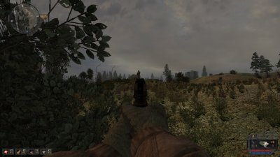 ������� ������ �� ���������