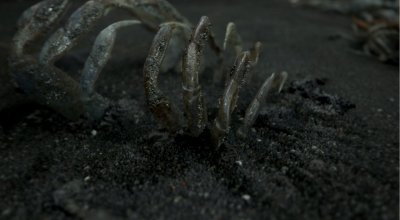 Death Stranding ��������