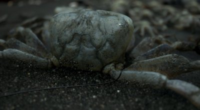 Death Stranding ��������