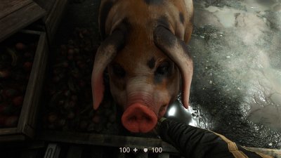 ������������ 2017 ������� ������