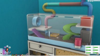 ���� 4 ��� ������ �������