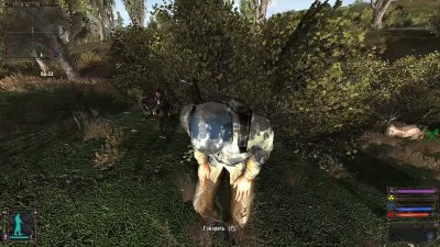 ������� ���� ���